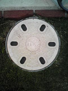 usui03.jpg